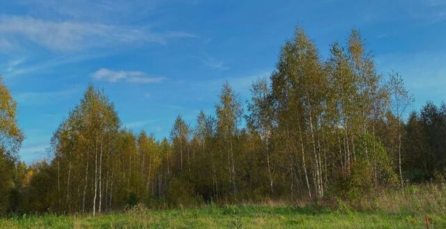 Ярославское шоссе, 25 км, муниципальное образование Краснопламенское, Ярославская область, Переславль-Залесский фото