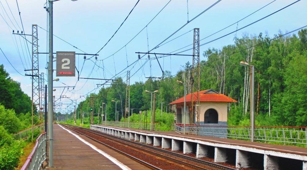 земля городской округ Павловский Посад д Назарьево фото 1