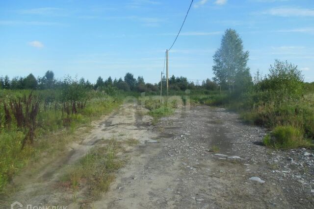 городской округ Тюмень, СО Яровское фото