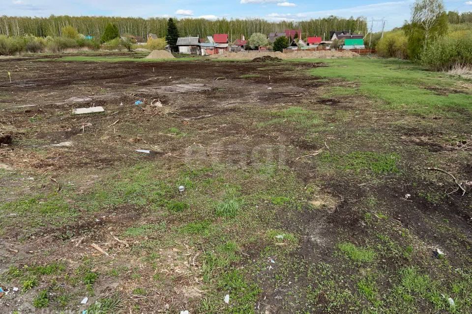 земля г Тюмень городской округ Тюмень, Салаирский тракт 9 километр, 11 фото 2