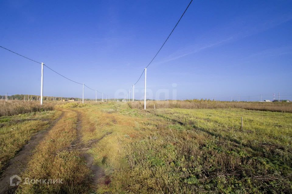 земля р-н Тюменский деревня Большие Акияры фото 3