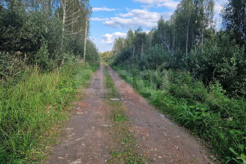 земля г Тюмень снт Светлое ул Садовая городской округ Тюмень фото 7