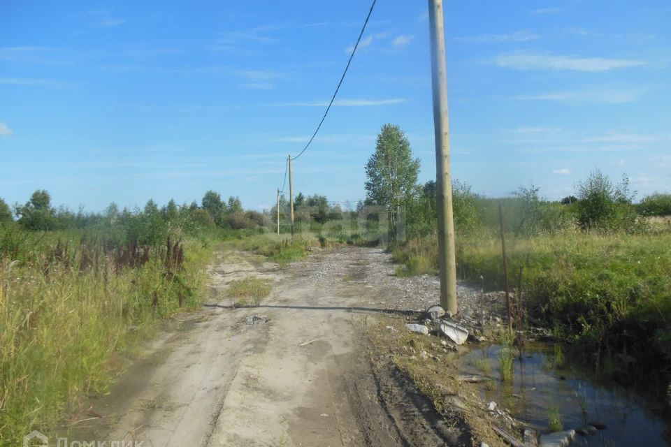 земля городской округ Тюмень, СО Яровское фото 5