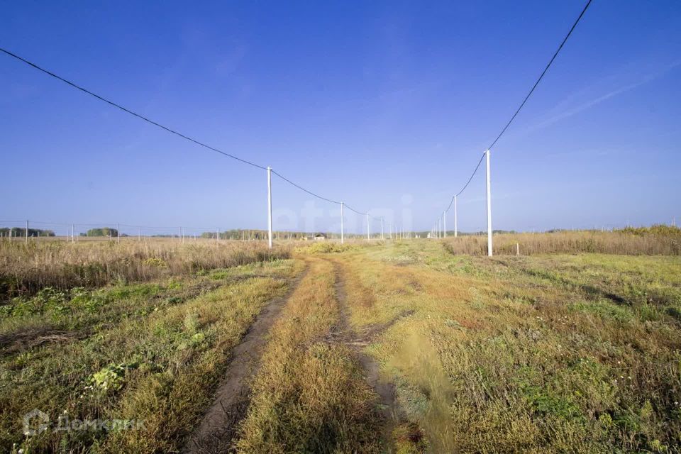 земля р-н Тюменский деревня Большие Акияры фото 6