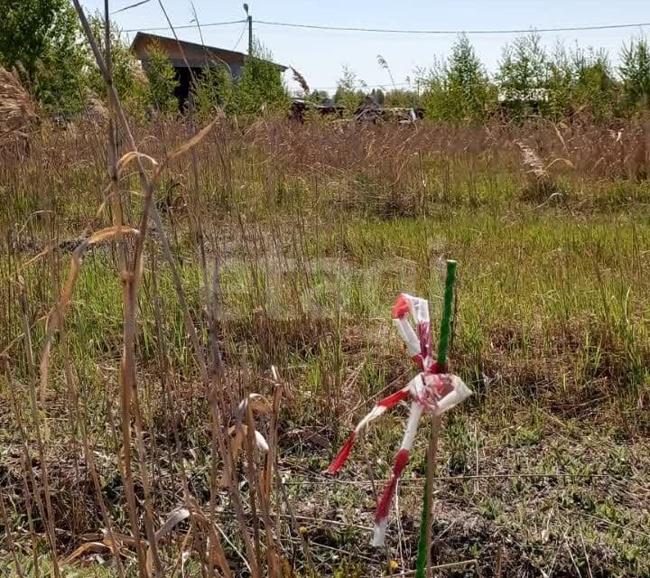 земля р-н Тюменский рп Боровский ул Озерная сельское поселение Боровский фото 6