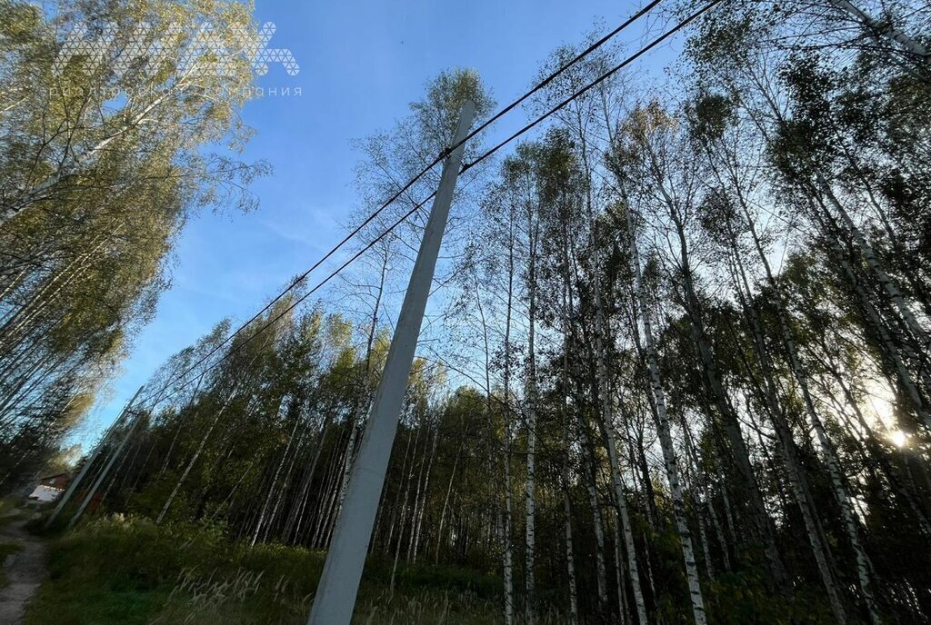 земля г Нижний Новгород СНТ Берёзовая Пойма треста 2 Промстрой фото 12