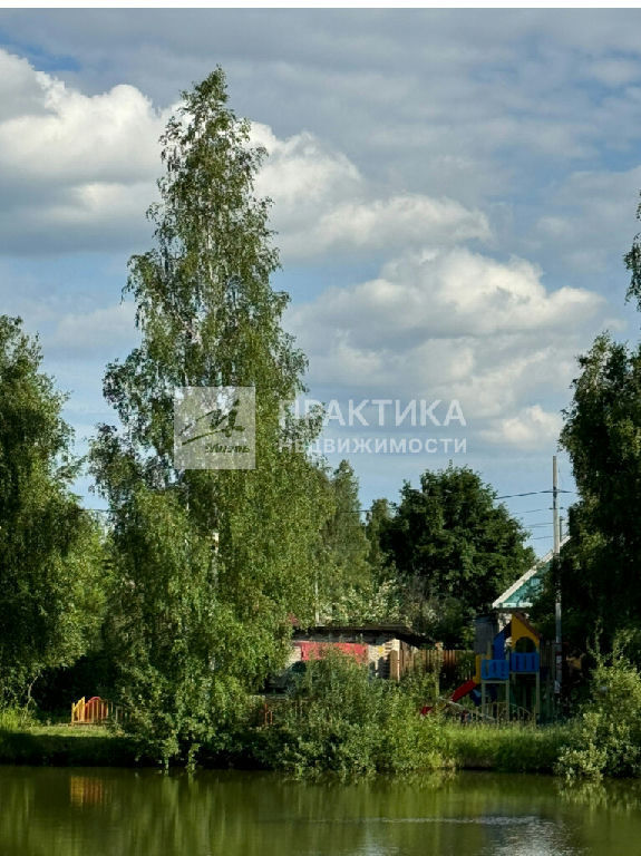 дом городской округ Раменский д Дементьево фото 16