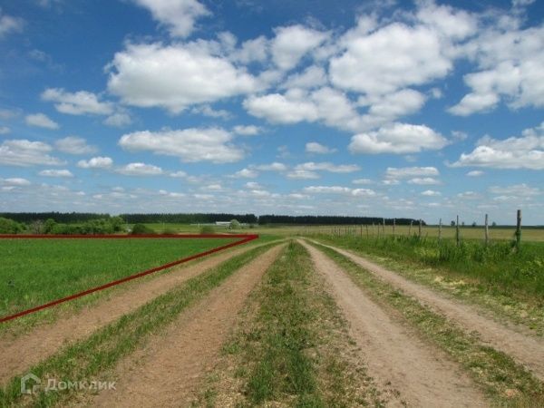 село Ромашкино фото