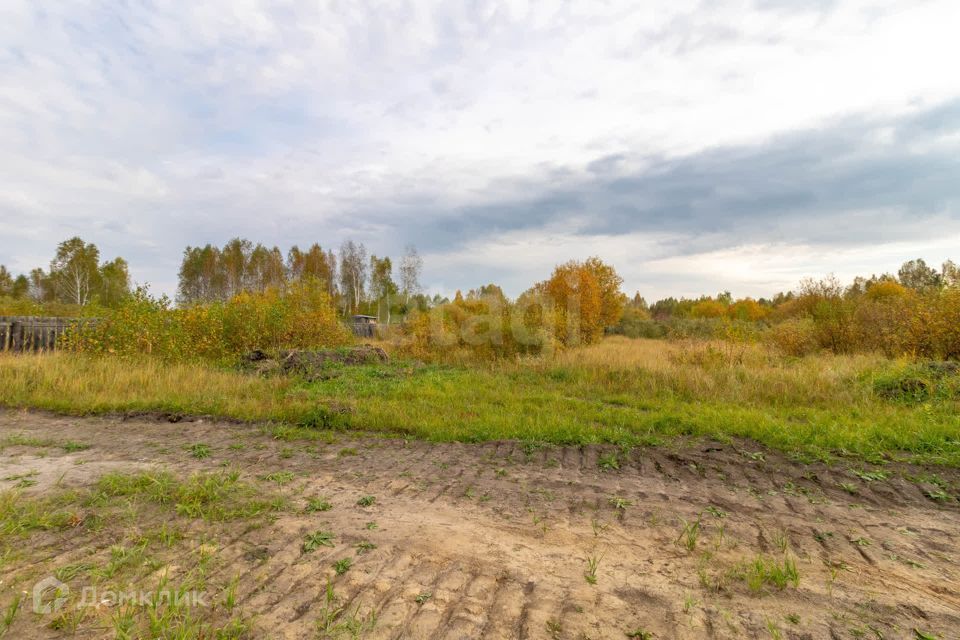 земля г Тюмень городской округ Тюмень, садовое товарищество Рябинка-2 фото 7