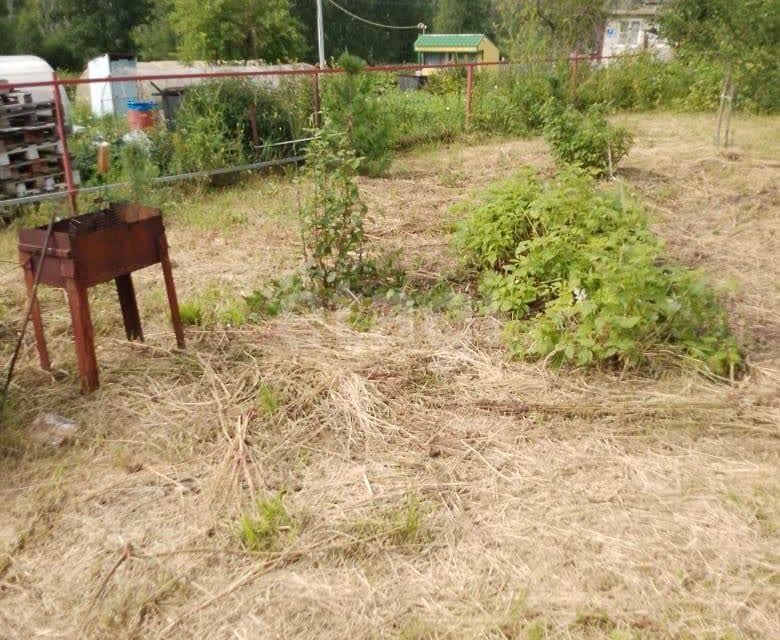 земля Миасский городской округ, СНТ Кедровый фото 2