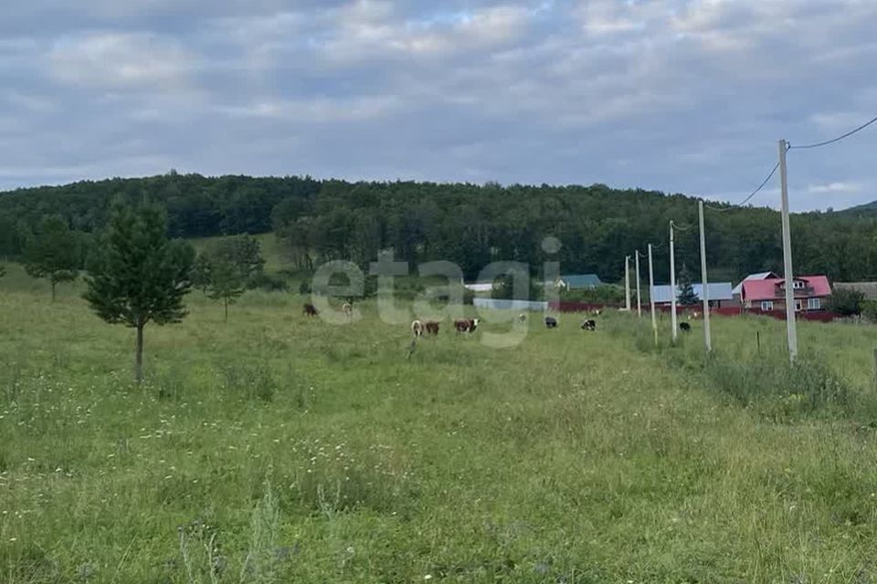 земля р-н Абдулинский Абдулино фото 7