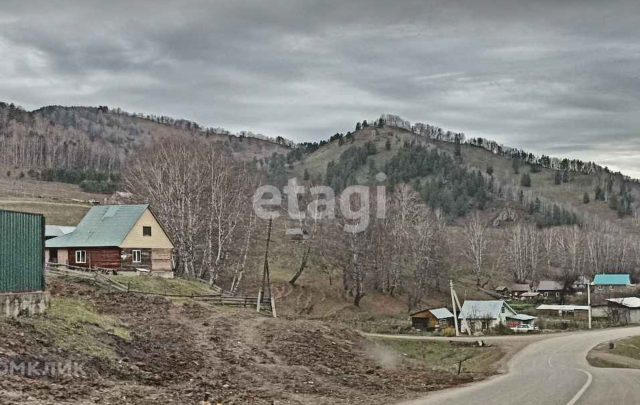 село Бирюля фото