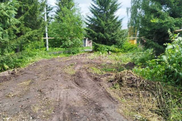 р-н Новосибирский садоводческое товарищество Заря фото