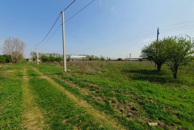 земля Республика Адыгея Адыгея, посёлок Прикубанский фото