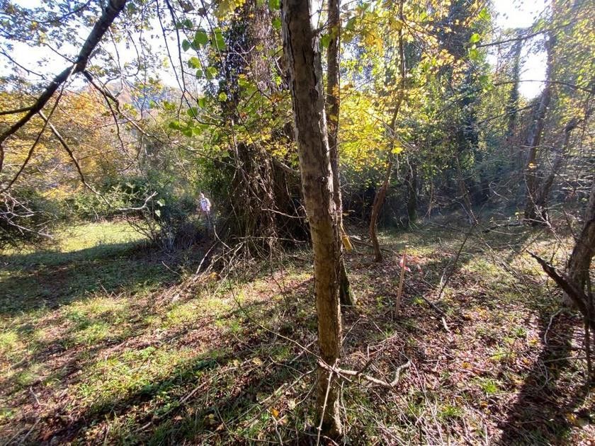 земля г Сочи городской округ Сочи, Лазаревский фото 1