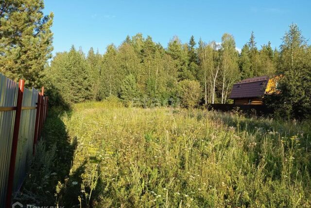 городской округ Верхняя Пышма, СНТ Сокол фото