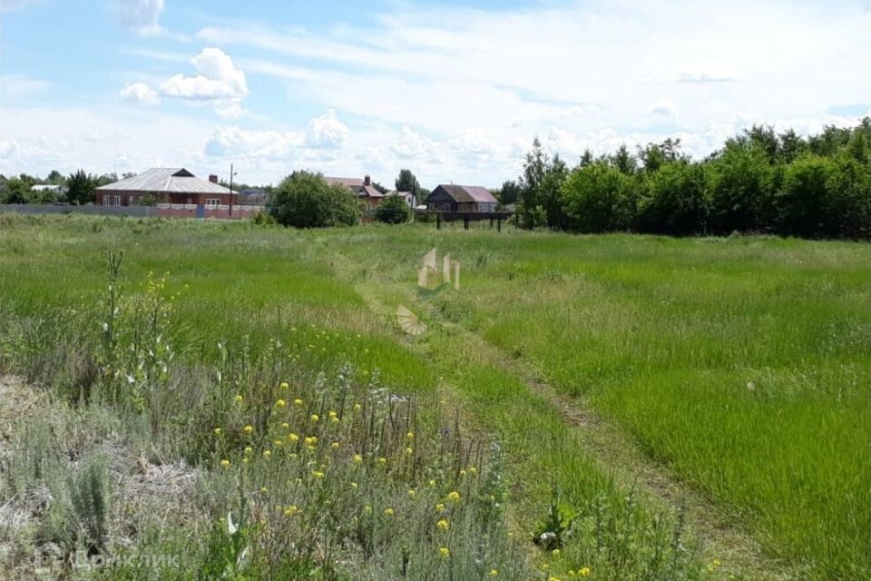 земля р-н Воскресенский село Елшанка фото 1