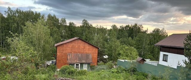 Русский Лес СНТ фото