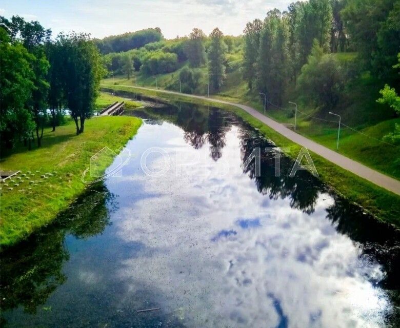 земля р-н Тюменский село Кулига фото 2