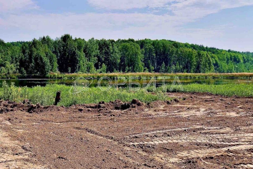 земля р-н Тюменский село Кулига фото 3