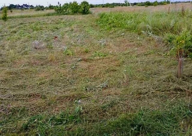 ул Рождественская Республика Адыгея Адыгея, городской округ Майкоп фото