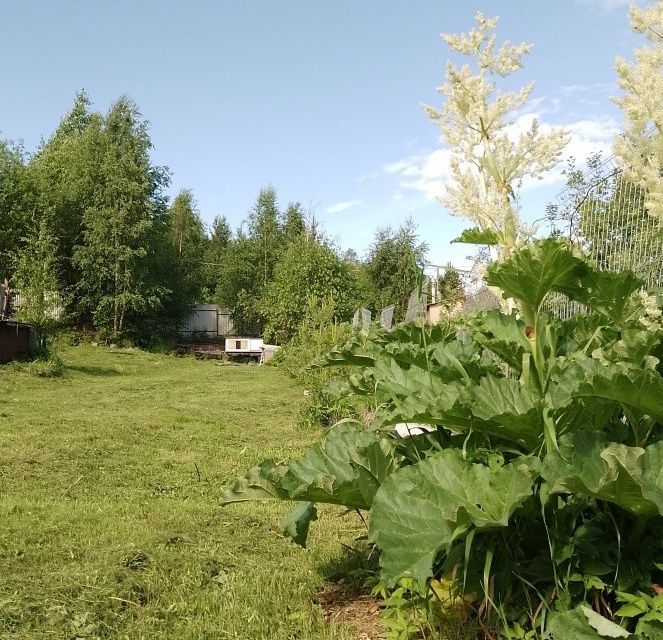 дом Костомукшский городской округ, СНТ Родник фото 1