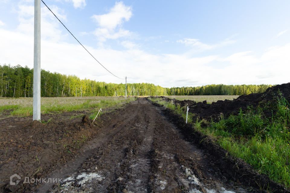 земля р-н Тюменский село Кулига фото 1