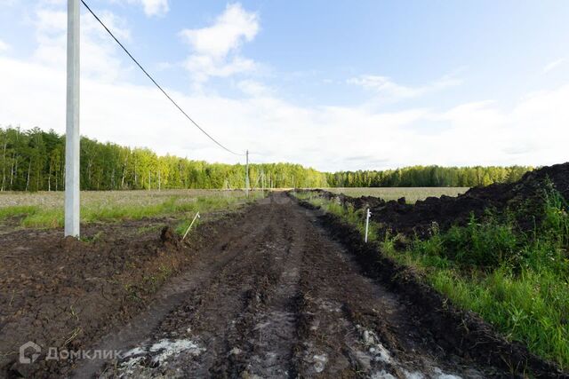 село Кулига фото