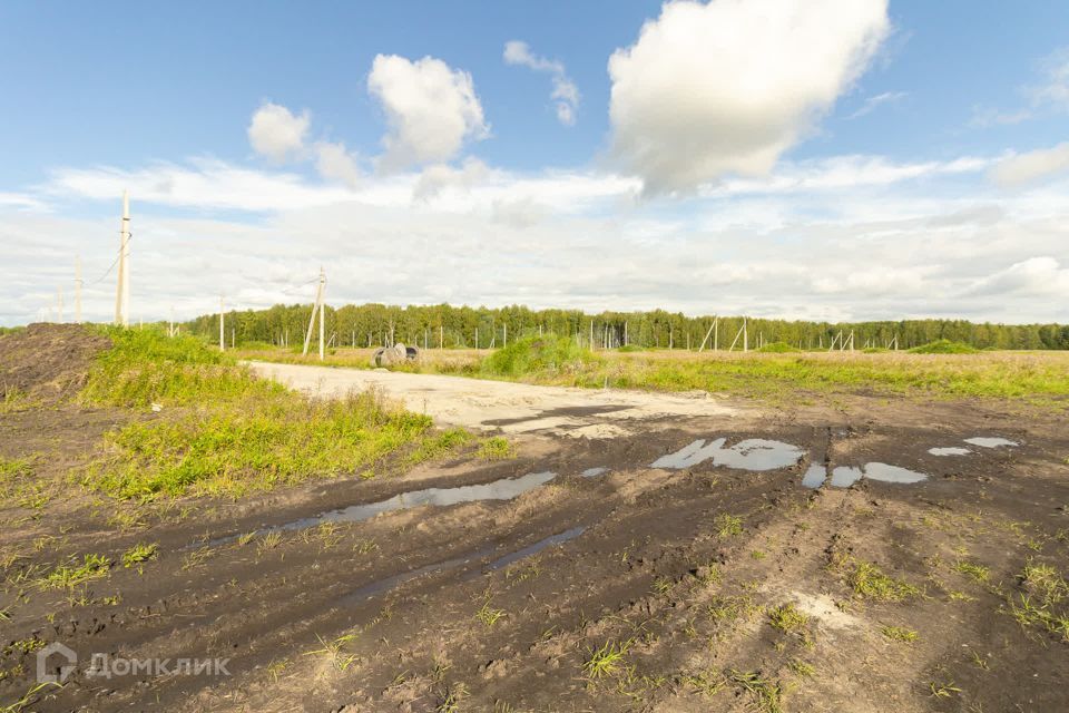 земля р-н Тюменский село Кулига фото 1