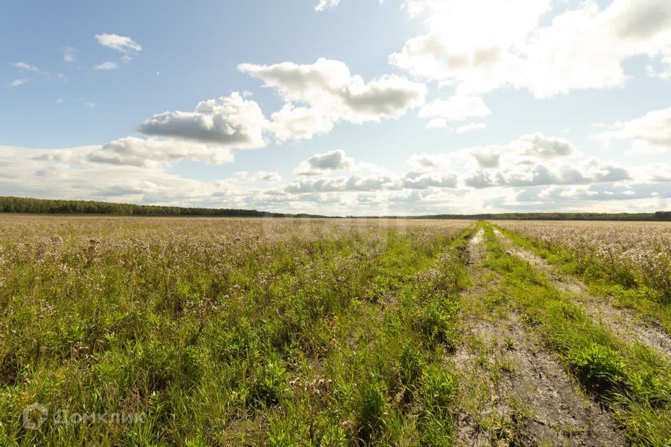 земля р-н Тюменский село Кулига фото 1