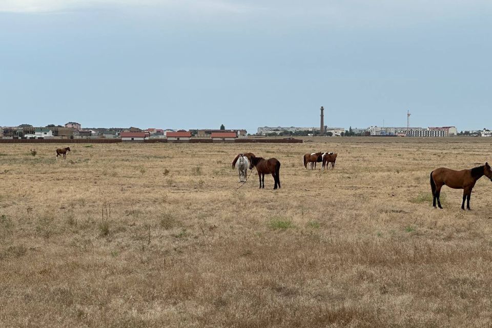 земля р-н Сакский фото 3