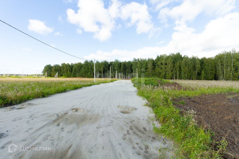 земля р-н Тюменский село Кулига фото 3