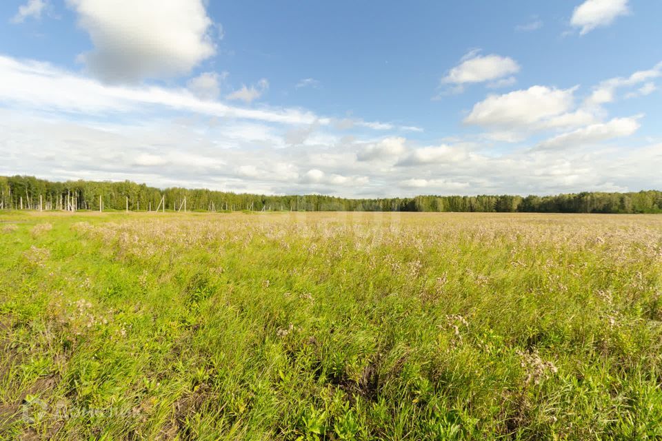 земля р-н Тюменский село Кулига фото 4