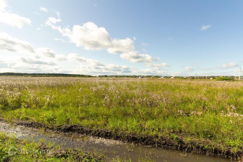 земля р-н Тюменский село Кулига фото 3