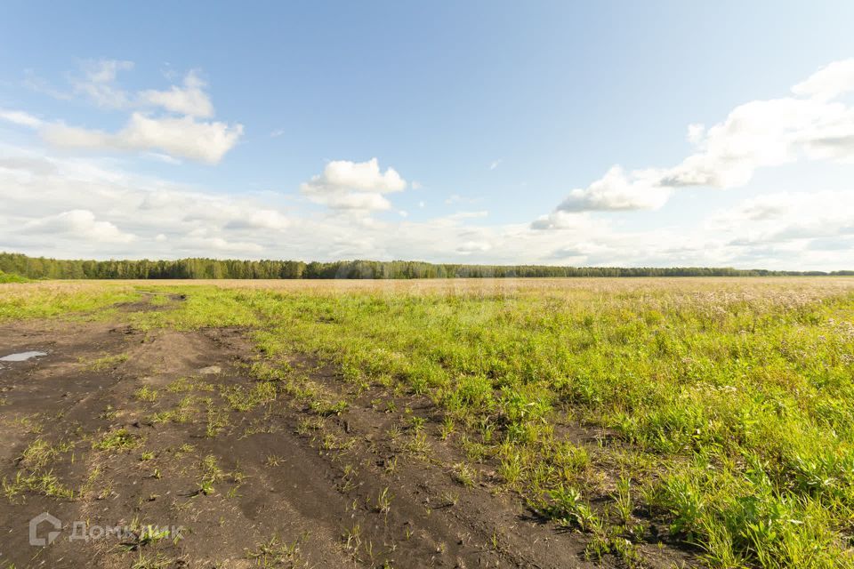 земля р-н Тюменский село Кулига фото 4