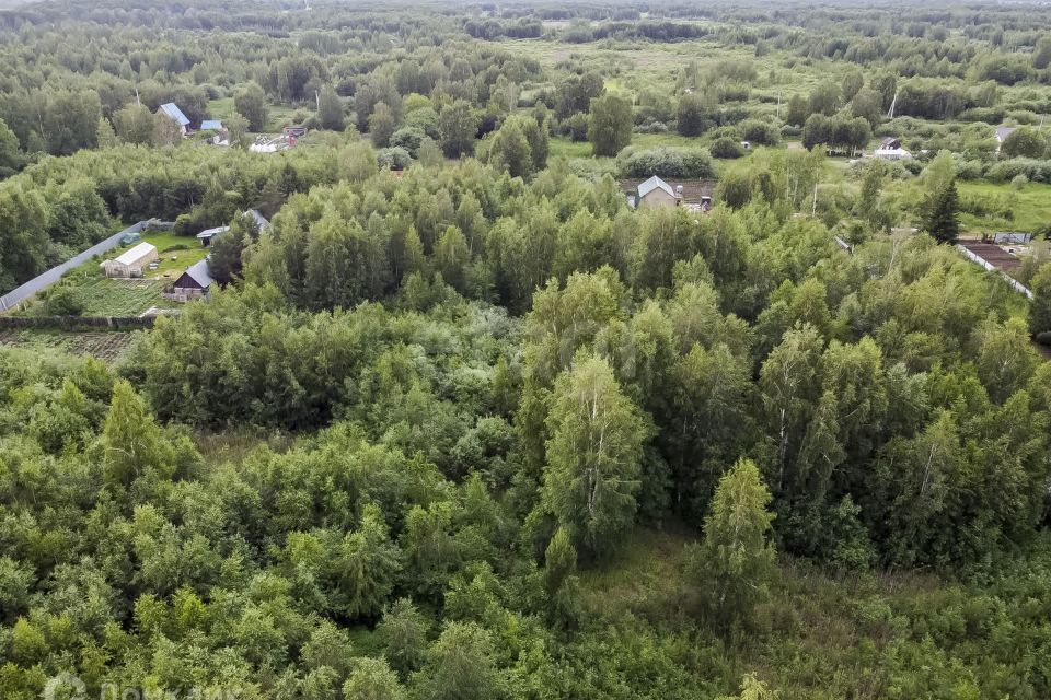 земля г Тюмень городской округ Тюмень, садовое товарищество Рябинка-2 фото 3