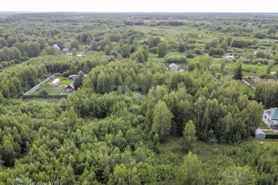 земля г Тюмень городской округ Тюмень, садовое товарищество Рябинка-2 фото 2