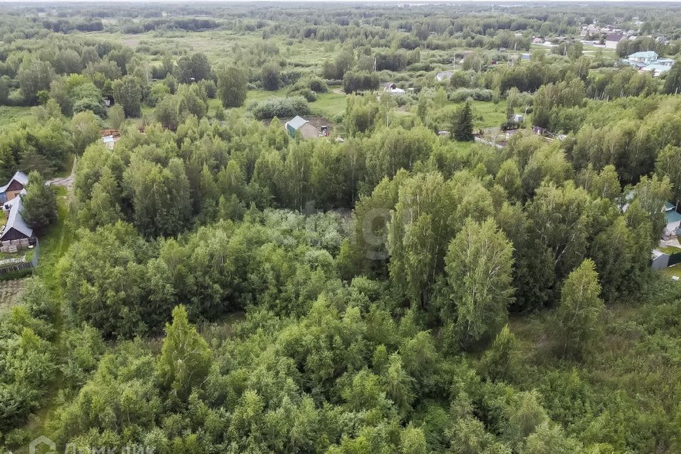 земля г Тюмень городской округ Тюмень, садовое товарищество Рябинка-2 фото 4