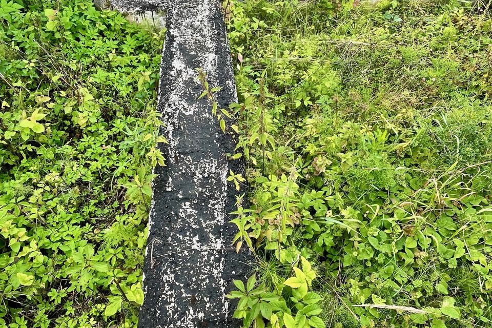 земля г Ижевск р-н Октябрьский городской округ Ижевск, СНТ Строитель-3 фото 3