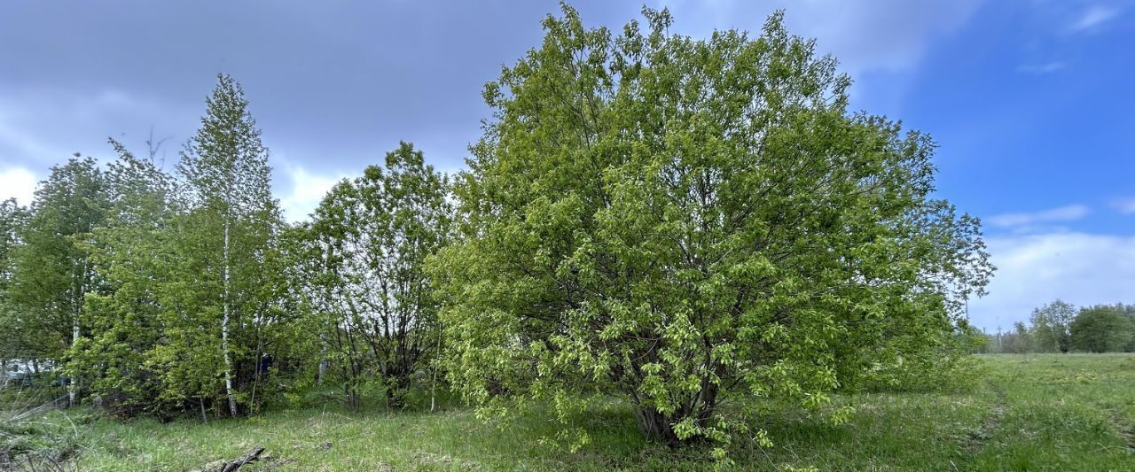 земля р-н Ленинский д Дементеево Тула городской округ фото 8