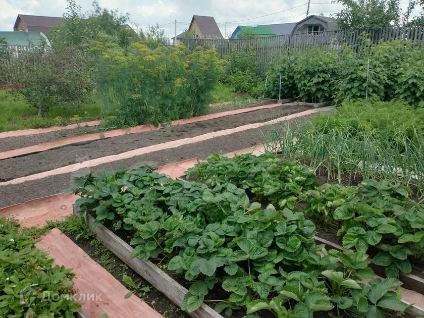 дом г Тюмень городской округ Тюмень, СНТ Изобилие фото 9