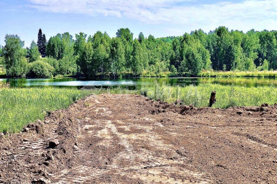 земля р-н Тюменский село Кулига фото 6