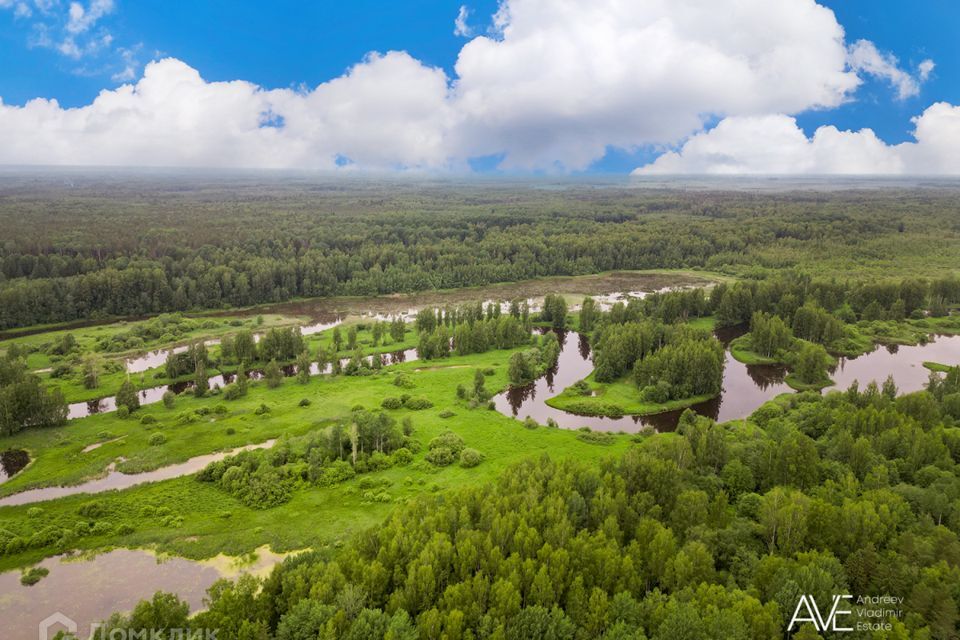 земля р-н Гатчинский посёлок Дальний фото 1