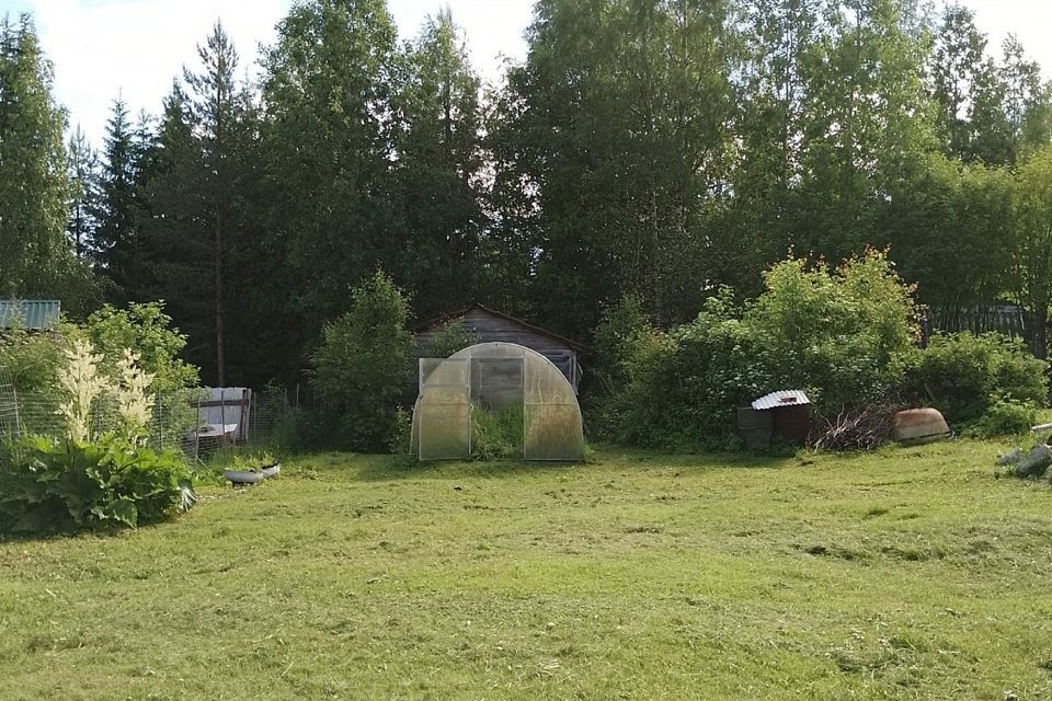 дом Костомукшский городской округ, СНТ Родник фото 7