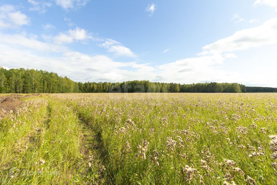 земля р-н Тюменский село Кулига фото 6