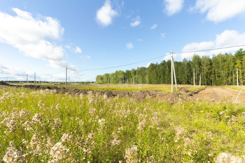 земля р-н Тюменский село Кулига фото 5