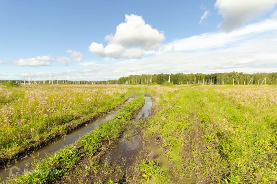 земля р-н Тюменский село Кулига фото 7