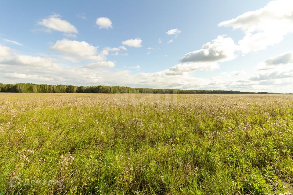 земля р-н Тюменский село Кулига фото 6