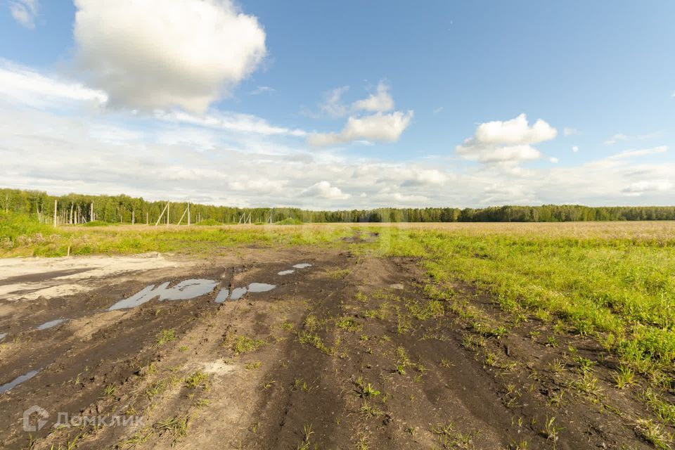 земля р-н Тюменский село Кулига фото 8