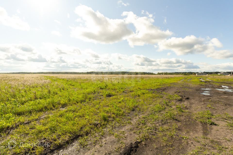 земля р-н Тюменский село Кулига фото 9